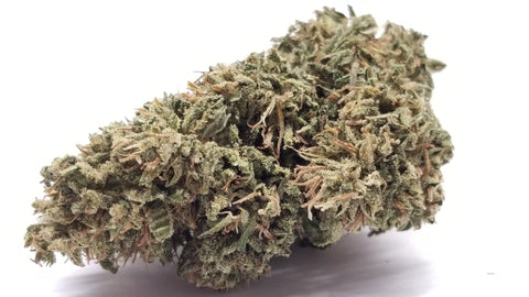 Merlot CBD