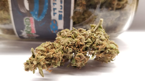 Blue Cookies