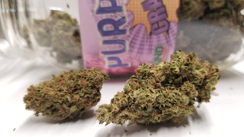 Purple Crack